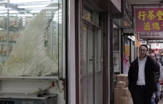 A large shark fin is displayed at a dried seafood shop in Hong Kong on March 8. Some shark species have seen their numbers drop dramatically since the 1980s due to rising demand for shark fin soup especially among China's nouveau rich and for fish and chips in Europe.